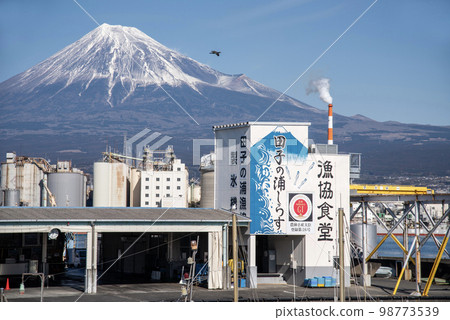 田子之浦漁港 98773539