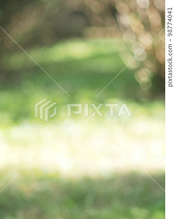 green color ball bokeh 98774041