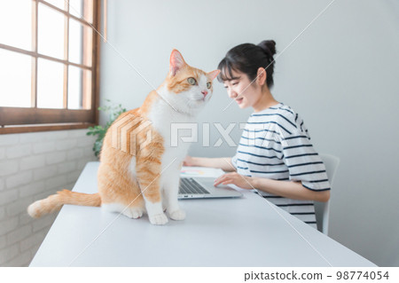 Women who work with cats and pets at home (work from home, telework, remote work, nekohara) 98774054