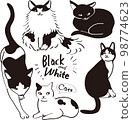 Collection of illustrations of monochrome cats 98774623