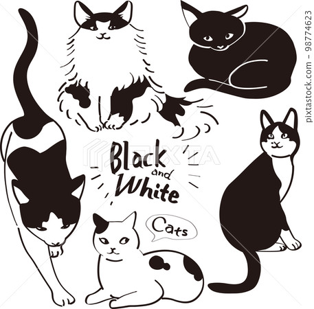 黑白貓插畫合集 98774623