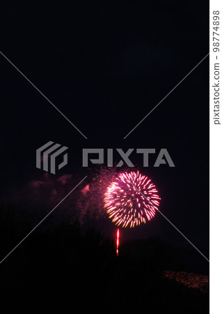 2023 Wakakusa Yamayaki seen from Mt. Kurokami, Nara Fireworks ③ 98774898