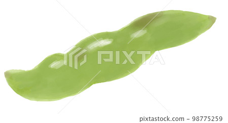 水彩風格蠶豆的插圖 98775259