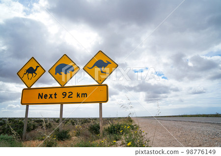Animal caution sign on the Nullarbor Plain in southern Australia 98776149