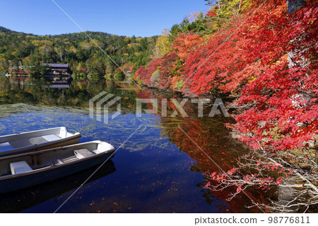 有紅色秋葉的白駒池 有紅色秋葉的白駒池 98776811