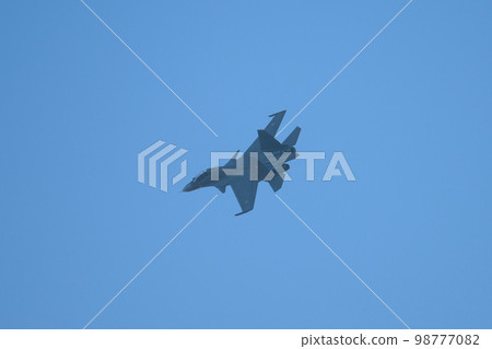 印度空軍蘇霍伊 Su-30MKI 盤旋 印度空軍蘇霍伊 Su-30MKI 盤旋 98777082