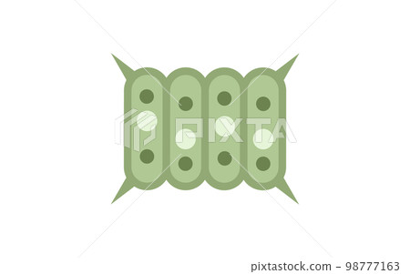 plankton squid 98777163