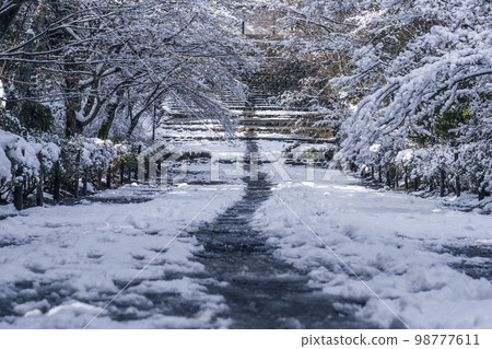 嵐山，京都，二尊院，秋葉中巴巴的雪景 98777611