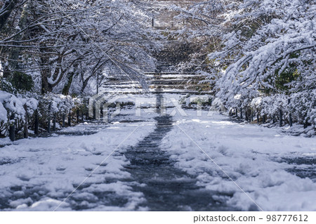 嵐山，京都，二尊院，秋葉中巴巴的雪景 98777612