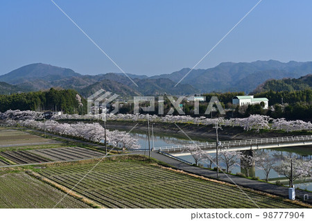 Spring Tamba Sasayama 98777904