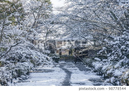 嵐山，京都，二尊院，秋葉中巴巴的雪景 98778544