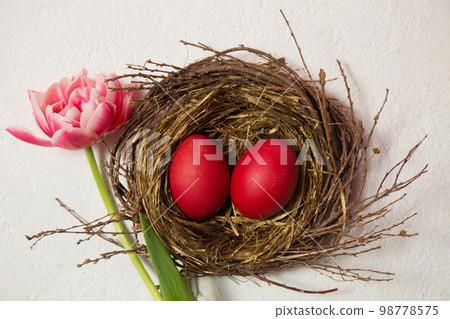 A nest with eggs is decorated with on a white background A nest with eggs is decorated with on a white background 98778575