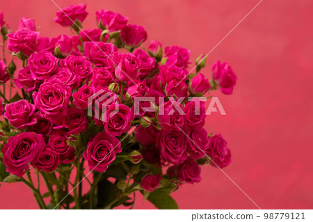 A beautiful bouquet of pink roses on a pink background A beautiful bouquet of pink roses on a pink background 98779121