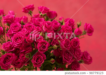 A bouquet of pink roses on a pink background 98779123