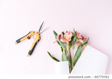 Alstroemeria in paper packaging with secateurs on a pink background Alstroemeria in paper packaging with secateurs on a pink background 98779362