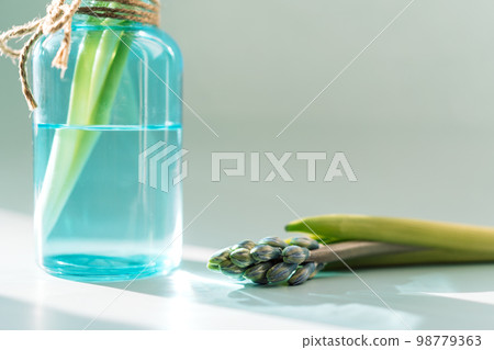Blooming hyacinth in a blue water bottle under a sunbeam on a white background 98779363