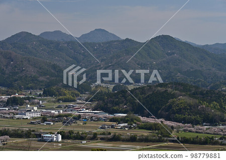 春天丹波筱山 98779881