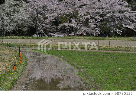 Spring Tamba Sasayama 98780135