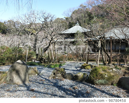 鎌倉市瑞泉寺(前庭/正殿) 鎌倉市瑞泉寺(前庭/正殿) 98780458
