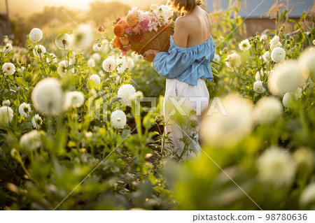 Woman with dahlias at flower farm 98780636