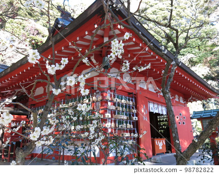 Egara Tenjin Shrine during exam season when plum blossoms bloom 98782822