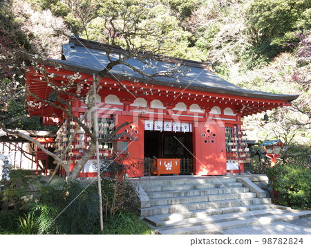 Egara Tenjin Shrine during exam season when plum blossoms bloom 98782824
