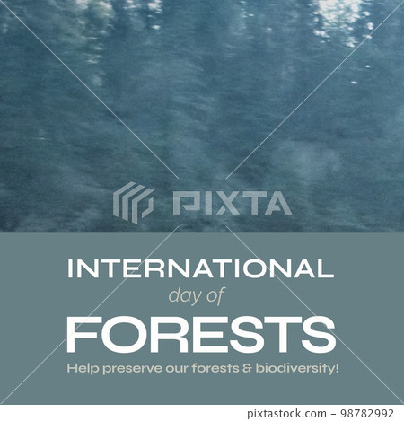 Composition of international day of forests text and trees 98782992