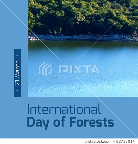 Composition of international day of forests text and trees Composition of international day of forests text and trees 98783014