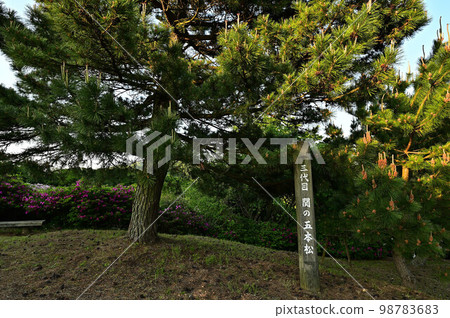 從Gotandomatsu公園 從Gotandomatsu公園 98783683