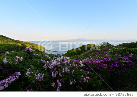 五本松公園的大山和杜鵑花 五本松公園的大山和杜鵑花 98783685