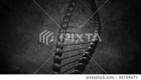 Image of close up of macro black dna strand Image of close up of macro black dna strand 98784075