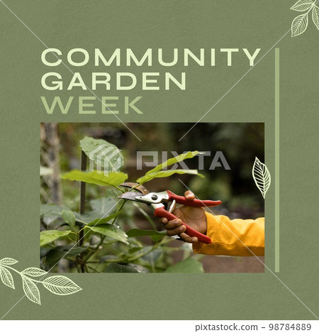 Composition of community garden week text over hand of african american boy cutting plant Composition of community garden week text over hand of african american boy cutting plant 98784889