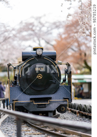 Odawara Castle Park Children's Amusement Park Bean Train Odawara Castle, Odawara City, Kanagawa Prefecture Odawara Castle Park Children's Amusement Park Bean Train Odawara Castle, Odawara City, Kanagawa Prefecture 98785219