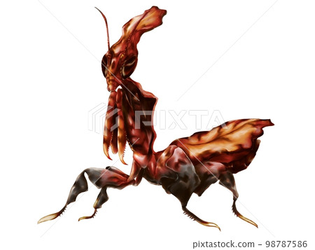 Ghost mantis 98787586