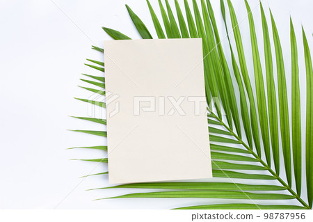 Brown paper on palm leaves Brown paper on palm leaves 98787956