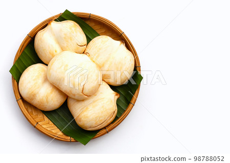 Toddy palm on white background. 98788052