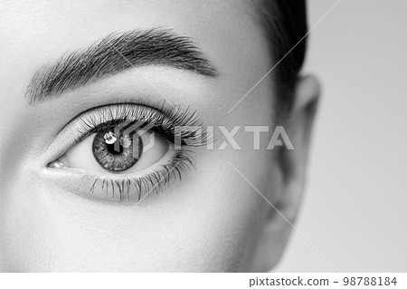 Female eye with long false eyelashes Female eye with long false eyelashes 98788184