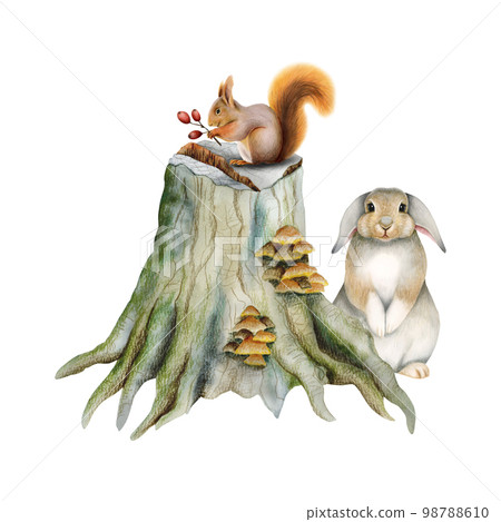 Cute woodland animals standing on stump with mushrooms. Watercolor illustration with forest rabbit and squirrel 98788610