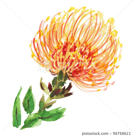 Tropical Flower, pincushion, watercolour 98788621