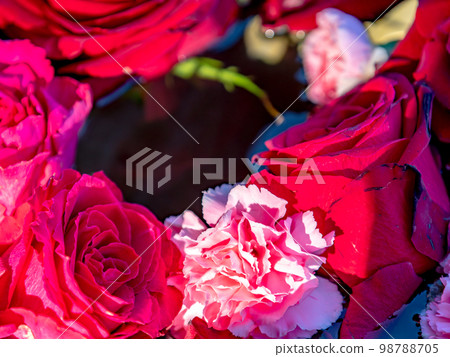 新年五顏六色好玩的花水 98788705