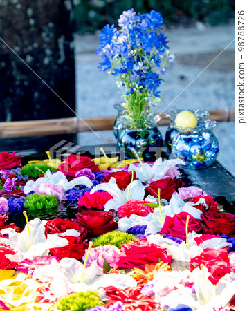 New Year's colorful and fun flower water 98788726