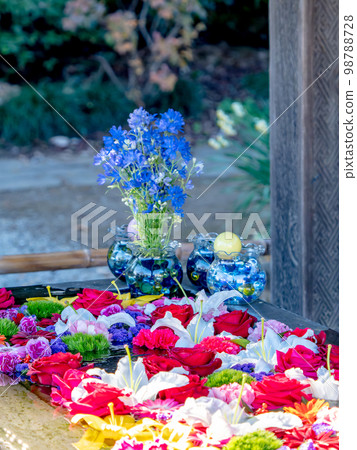 新年五顏六色好玩的花水 98788728