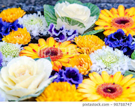 New Year's colorful and fun flower water New Year's colorful and fun flower water 98788747