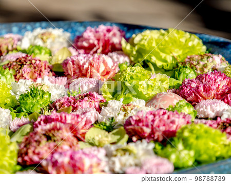 New Year's colorful and fun flower water New Year's colorful and fun flower water 98788789