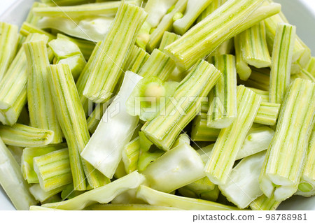 Moringa oleifera isolated on white background. Moringa oleifera isolated on white background. 98788981