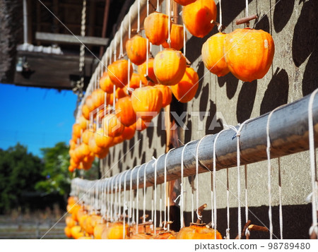 Persimmons hanging from the eaves, an autumn tradition Persimmons hanging from the eaves, an autumn tradition 98789480