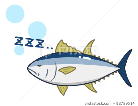 sleeping tuna 98789514