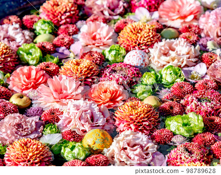 New Year's colorful and fun flower water New Year's colorful and fun flower water 98789628