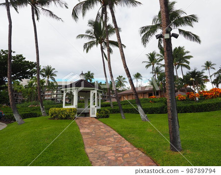 Luxurious Resort Time on the Big Island of Hawaii 98789794