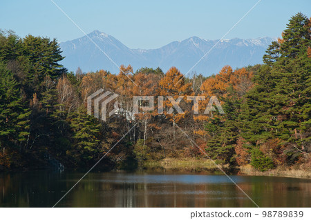 Lake Misuzu and Northern Alps in fall foliage 98789839